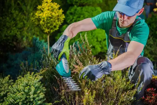 landscaping services Kelso